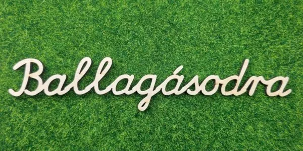 Ballagásodra felirat 3