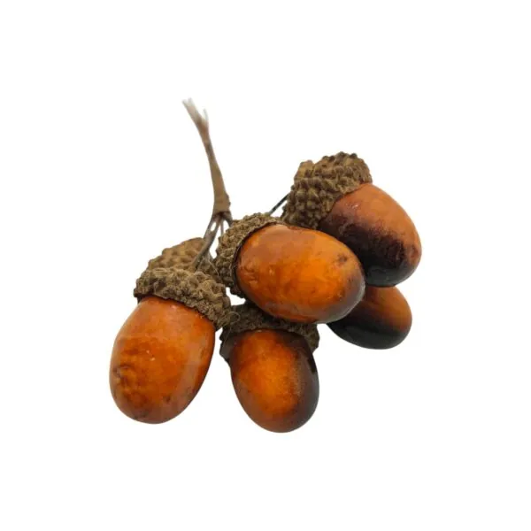 Dekorpálca – barna makkokkal (6 fej, 12 cm)
